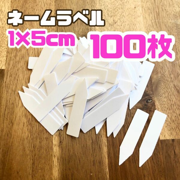 園芸用 ネームプレート ラベル 100枚 ホワイト 白 観葉植物 ガーデニング