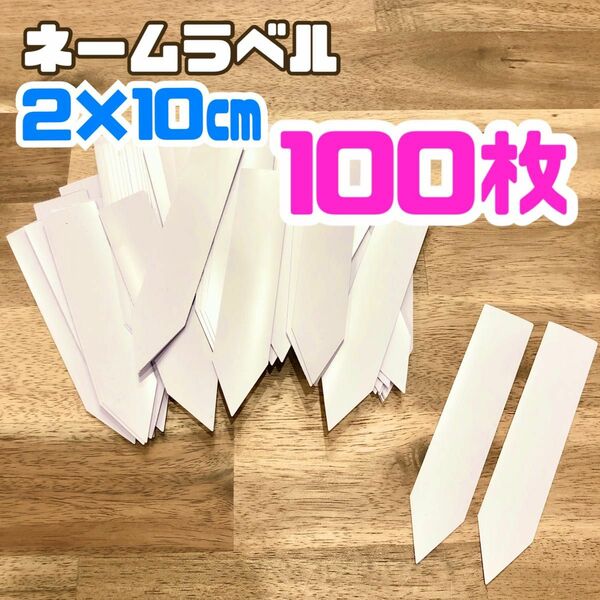 園芸 ネーム ラベル 2×10 ホワイト 白 観葉植物 100枚