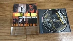 ★☆A02866　デヴィッド・マローン/DAVID MALONE & and the sugar bears/I GOT THE DOG IN ME　CDアルバム☆★