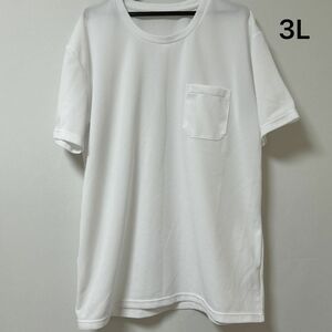 シンプル 薄手Tシャツ 白 3L
