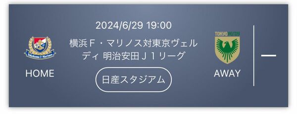 横浜fマリノスvs東京ヴェルディチケット