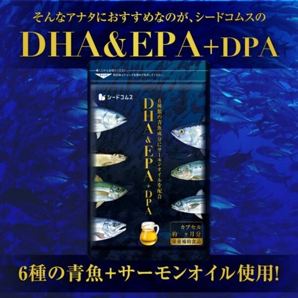 3ヶ月分 DHA EPA DPA サーモンオイル サプリメント