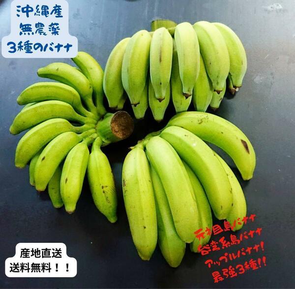 沖縄本島北部産！人気の国産バナナ３種！食べ比べ！３種バナナセット！