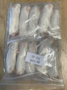  limited amount special price! postage half-price! freezing adult mouse M size 50 pcs 