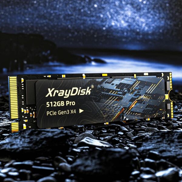 高速タイプ　XrayDisk m. 2 NVMe 2280 SSD 1TB ProM.2 PCIe Gen3×4 3DTCL