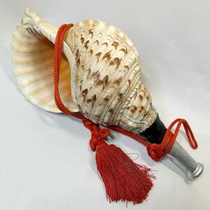 法螺貝　和楽器　ホラガイ　密教法具　ほら貝　音出しOK アンティーク　重さ1.1Kg 長さ43cmくらい　縁起物