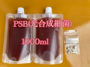 PSB(光合成細菌) 1000ml 培養酵母10錠付【送料無料】6