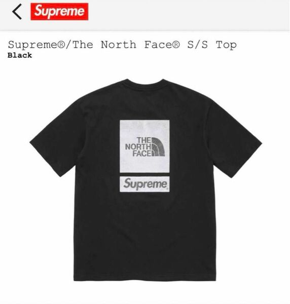 Supreme x The North Face S/S Top