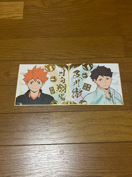 ハイキュー ビジュアル色紙コレクション4 日向翔陽&及川徹セット