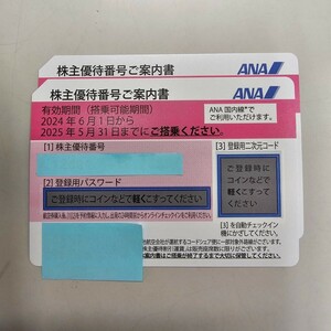 2枚セット 全日空 株主優待券 有効期間2025年5月31日 送料無料 ANA