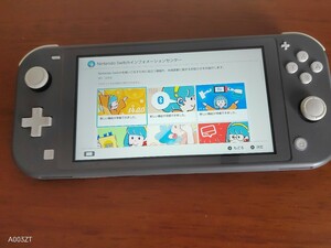 任天堂 Nintendo Switch Lite ニンテンドースイッチ ライト HDH-001 グレー系