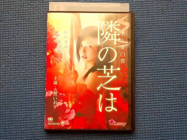 DVD 美人妻白書 隣の芝は 古川いおり 吉岡睦雄 宮村恋 泊帝 城定秀夫