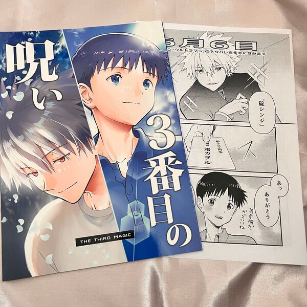 エヴァンゲリオン 同人誌 カヲシン 3番目の呪い