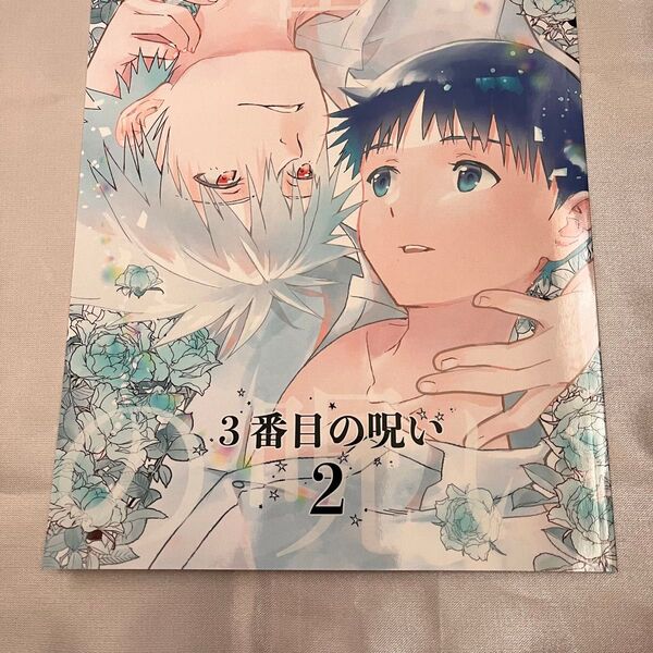 エヴァンゲリオン 同人誌 カヲシン 3番目の呪い2