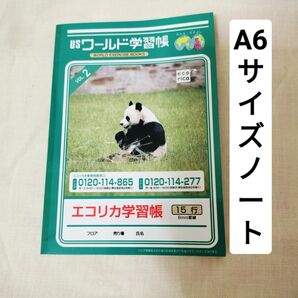 新品未使用 A6サイズ エコリカusワールド学習帳 パンダ