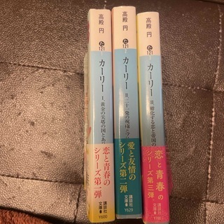 カ－リ－　全3巻（講談社文庫） 高殿 円
