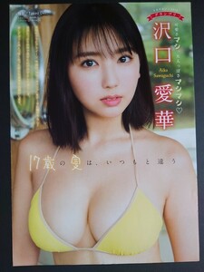 沢口愛華　17歳の夏は、いつもと違う　ヤングマガジン　切り抜き　8ページ