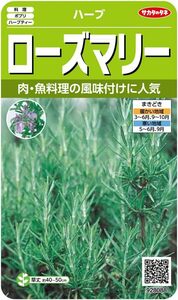 サカタのタネ 実咲ハーブ8088 ローズマリー ハーブ 00928088