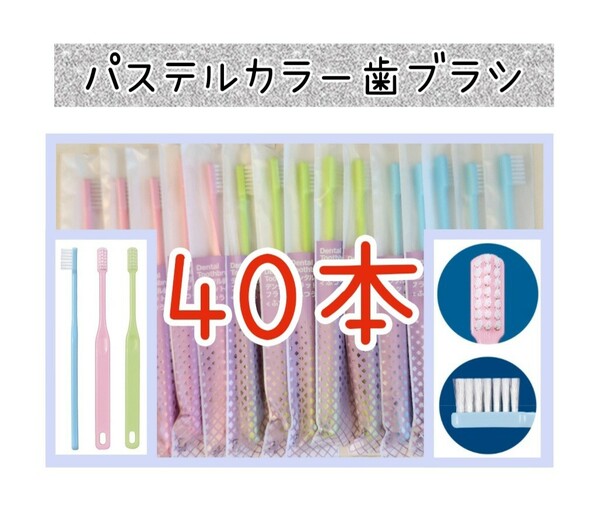 歯科専用歯ブラシ　パステルカラー歯ブラシ40本