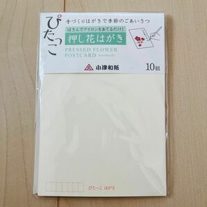 【新品未使用未開封】ぴたっこ　押し花はがき　小津和紙　ハンドメイド