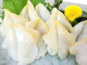  tooth ... eminent tsubugai slice 20 sheets . sashimi for opening has processed . business use tsubugai opening 