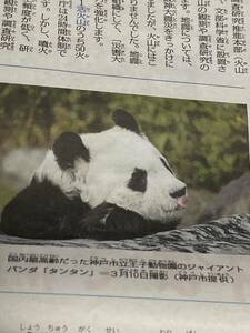 国内最高齢　さようならタンタン　2024年4月3日(水) 毎日小学生新聞　ジャイアントパンダ 王子動物園　旦旦