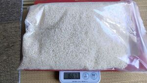 愛知県産のコシヒカリ1.5kg