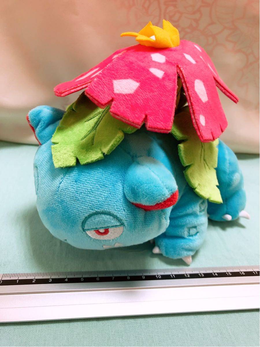 ボタニカルウエディング 終売品 ポケモンセンターオリジナル