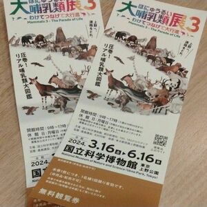 【大人2枚　無料観覧券】国立科学博物館『大哺乳類展３－わけてつなげて大行進』無料招待券　即日発送　ペアチケット定価4200円 値下