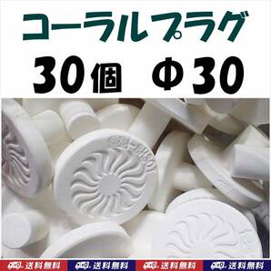 【送料無料】コーラルプラグ　30個　直径30mm　Ｔ型　Φ30　コーラルフラッグ　 海水魚　珊瑚 育成水槽に　サンゴ プラグ　セラミック