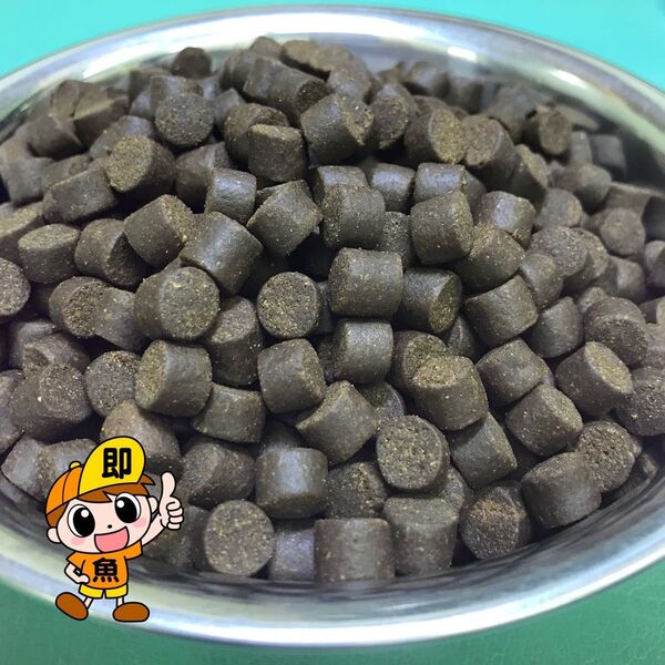 大型魚も大満足『マダイEPメジャー10』500g 10㎜ 沈下性 錦鯉 ナマズ 大型プレコ エイの餌