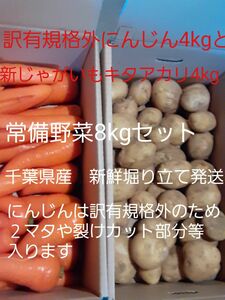千葉県産　新じゃがいもキタアカリと訳有にんじん　常備野菜セット　中身のみで計8kg　堀り立て