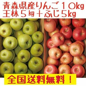 クール冷蔵便！　青森県産　りんご10kgセット　王林5kg15-25玉程度、ふじ5kg15-25玉程度