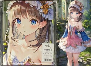 ^ beautiful young lady 25966^ cosplay ^ tapestry * Dakimakura cover series * super large bath towel * blanket * poster ^ super large 105×55cm