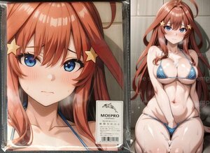 ^ middle .. month 27017^ cosplay ^ tapestry * Dakimakura cover series * super large bath towel * blanket * poster ^ super large 105×55cm