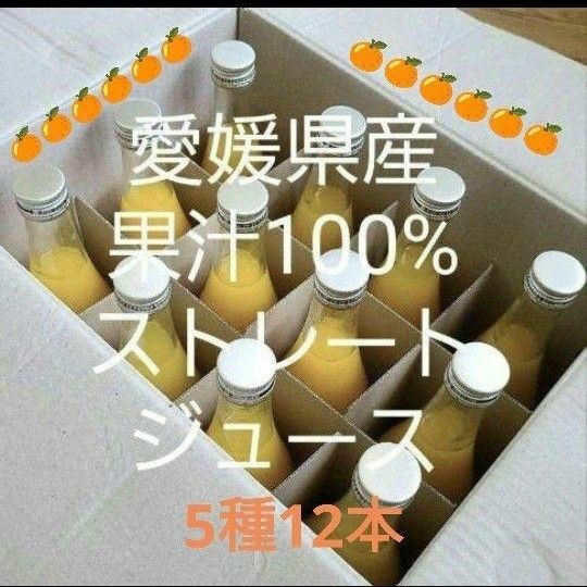 愛媛県産果汁100%ストレートジュース