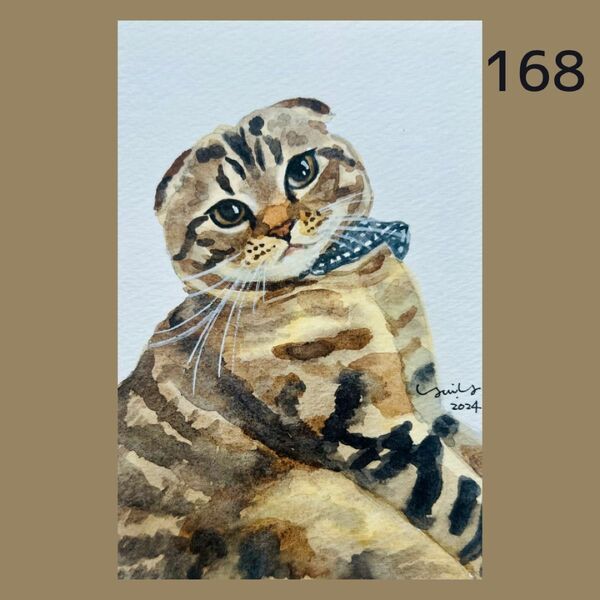 猫の絵168 水彩画 原画 スコティッシュフォールド