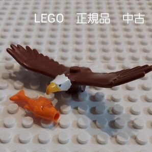 LEGO　鷲　ワシ　　LEGO　CITY　60202 より　