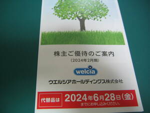 最新　ウエルシア　株主優待カタログギフト　１セット（３０００円分）　５セットまで　welcia Tポイント3000P