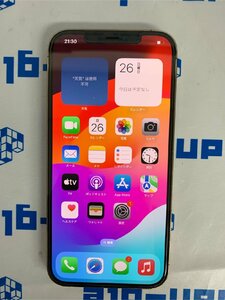 ■札幌発送■1円スタート■中古■Apple■iPhone 11■MWLV2J/A■64GB■docomo■J498122i