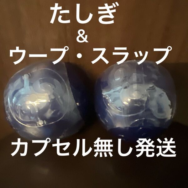 ワンピの実 第十七海戦 たしぎ ウープ・スラップ