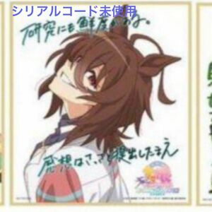 劇場版 ウマ娘 プリティーダービー 入場者 特典 第二弾 ミニ 色紙 アグネスタキオン