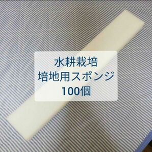 【送料無料】水耕栽培キット用 スポンジ培地 100個 ウレタン ユーイング