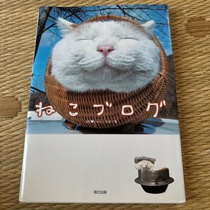 ねこブログ 肉球、ばんざ~い! 最強12ブログ、ここに集結にゃん。 WE にゃんこの会/著