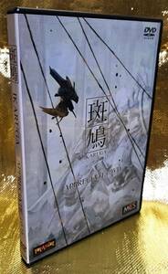 ゲーム攻略ＤＶＤ　斑鳩 IKARUGA APPRECIATE DVD