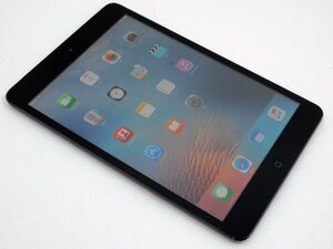 SoftBank Apple iPad mini (第1世代) Wi-Fi+Cellular 64GB ブラック＆スレート MD542J/A A1455 判定：○ 中古品[B176T062]