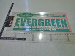 エバーグリーン/Evergreen/グーリーン文字抜き/ステッカー/シール/　※ ヤフーショッピングストア/レア物商会・健美堂でも大量出品中！