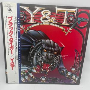 【帯付】Y & T/レコード/LP/ブラック・タイガー/Black Tiger/
