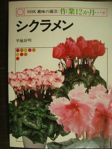 NHK趣味の園芸・作業12か月 シクラメン★平城好明