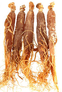  Goryeo морковь 240g. три утро . морковь сухой . три длина Hakusan три [ нераспечатанный ]